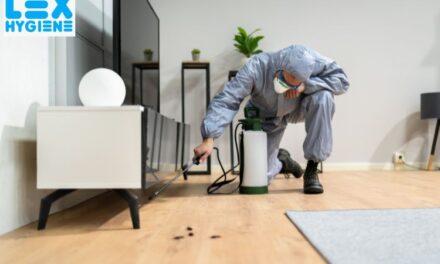 Termite Pest Control Near Me: Quick Tips to Choose the Right Service