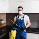  Nearby Termite Control Experts: What Services Should You Look For?