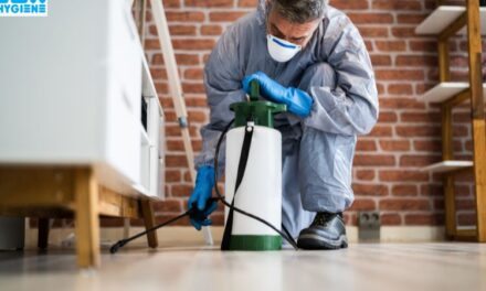 How to Find the Best Termite Control Near Me: A Quick Guide