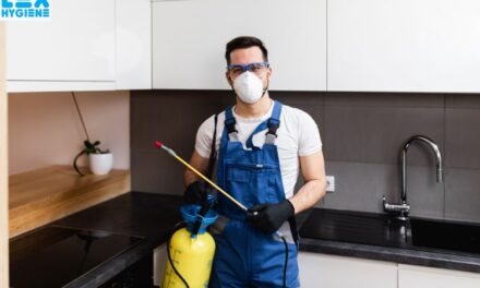  Nearby Termite Control Experts: What Services Should You Look For?